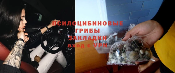 прущие крисы Алексин