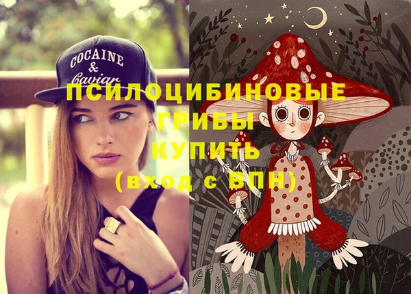 прущие крисы Алексин